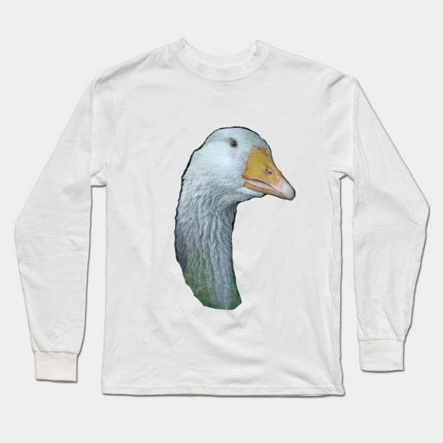 The Glorious Gander Long Sleeve T-Shirt by LochNestFarm